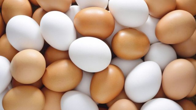 Govt gives permission to 4 companies for importing 4cr eggs - Dainikshiksha