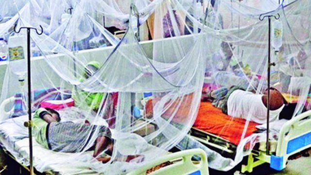Record 3,122 dengue patients hospitalised in a day in Bangladesh - Dainikshiksha