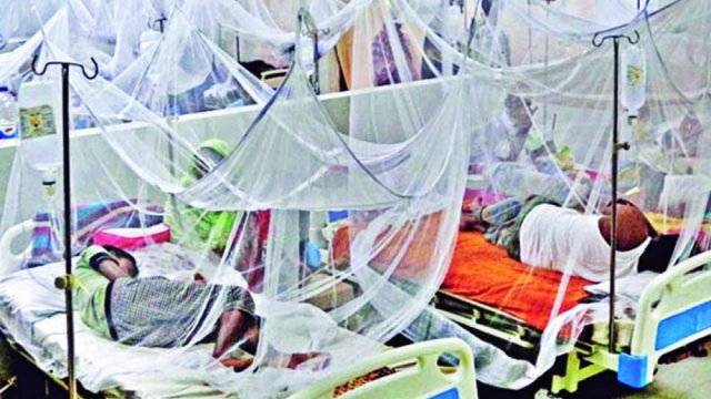 17 dengue patients die, 3,084 hospitalised - Dainikshiksha