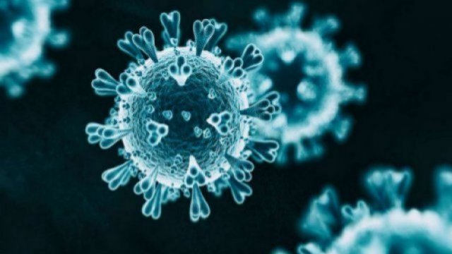 Coronavirus spreads to all districts of Bangladesh - Dainikshiksha