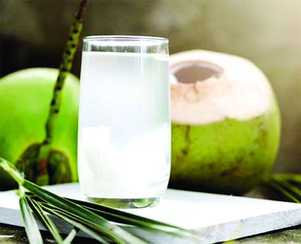 Image result for hot coconut water