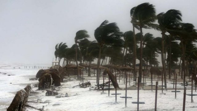 Cyclone FANI claims 5 lives in Odisha - Dainikshiksha