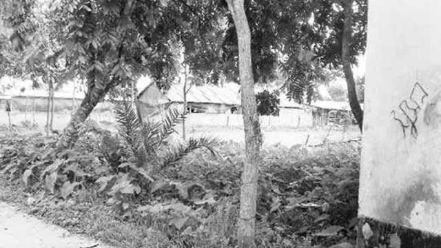 মাদরাসার পাশে মুরগির খামার, হুমকিতে শিক্ষার্থীদের স্বাস্থ্য - Dainikshiksha