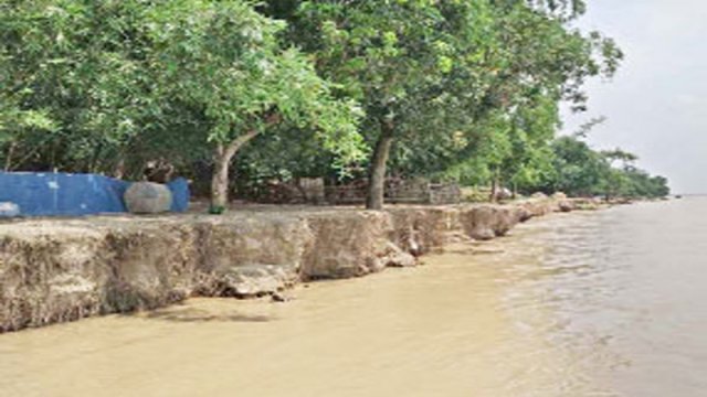 নদী ভাঙন : গোদাগাড়ীর বসত বাড়িসহ স্কুল-মাদরাসা বিলীনের আশঙ্কা - দৈনিকশিক্ষা