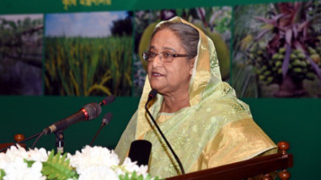 PM asks students to pursue practical education on agriculture - Dainikshiksha
